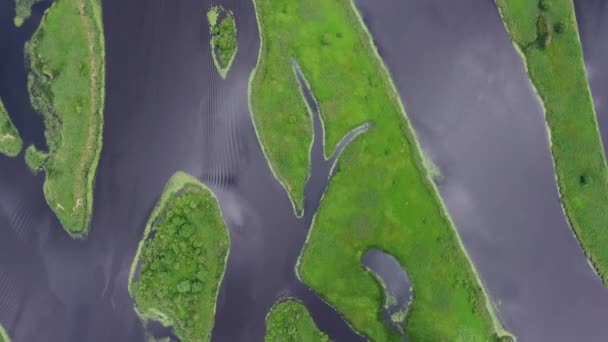 Aerial Top View Estuary Straits Islands Delta River — Stock Video