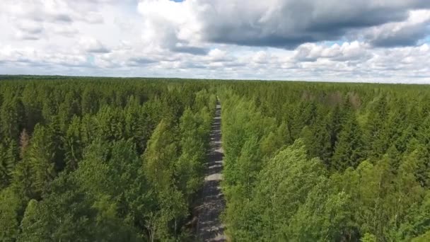 Vue Aérienne Dessus Route Travers Forêt Norht Été — Video