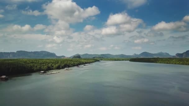 Légi Felvétel Folyón Között Mangrove Erdő Krabi Tartomány Thaiföld Dönthető — Stock videók