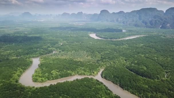 Vista Aérea Sobre Río Bosque Manglares Con Estuarios Estrecho Cerca — Vídeos de Stock