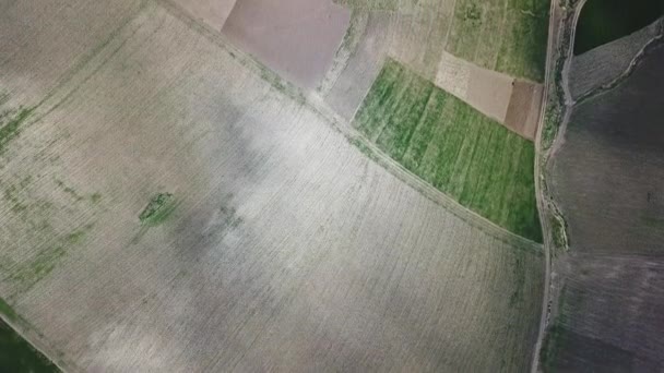 Vista Aérea Los Campos Agrícolas Montañosos Marruecos África — Vídeo de stock