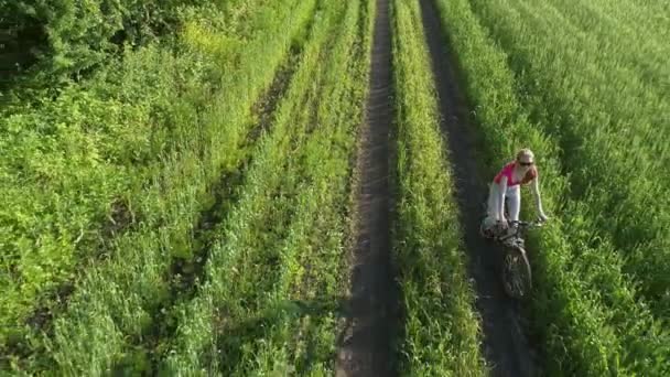 Linda Chica Joven Bicicleta Campo Verde Verano Drone Tiro — Vídeos de Stock