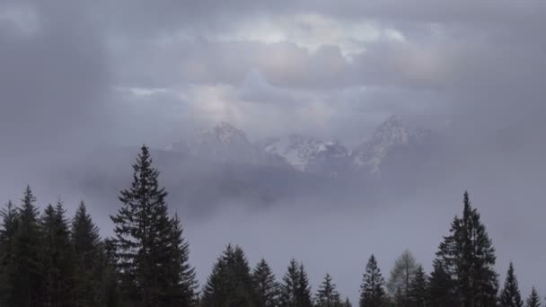 Montaña Alpes Paisaje Con Árboles Las Nubes Niebla Italia Primavera — Vídeo de stock