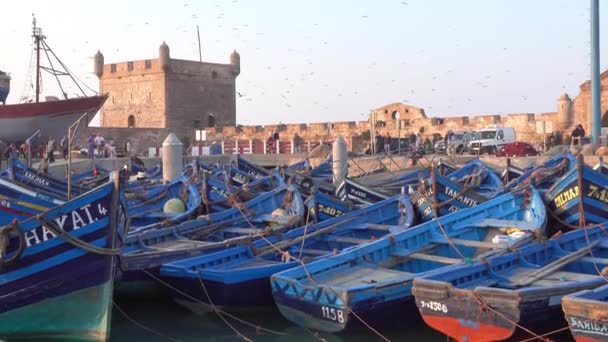 モロッコの日没時にエサオイラ港の青い漁船4K — ストック動画