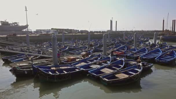 Blå Fiskebåtar Hamnen Essaouira Marocko Panorama — Stockvideo