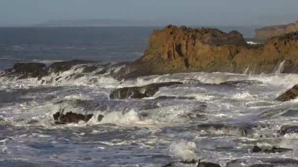 Splashes Atlantic Ocean Waves Cliffs Flying Seagulls — Stock Video