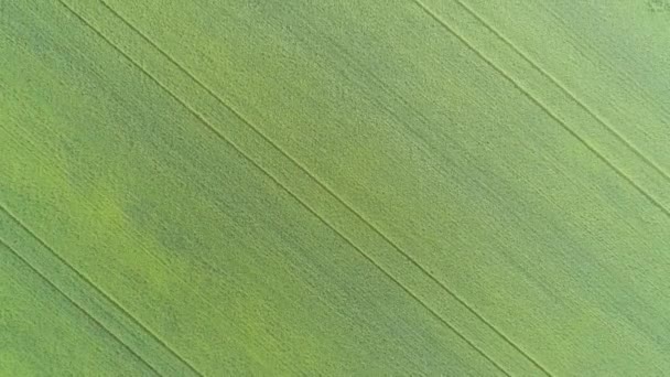 Vista Aerea Dall Alto Dei Campi Agricoli Verdi Primavera — Video Stock