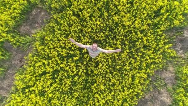 Aerial Top View Young Man Hands Yellow Rapeseed Field — Stock Video