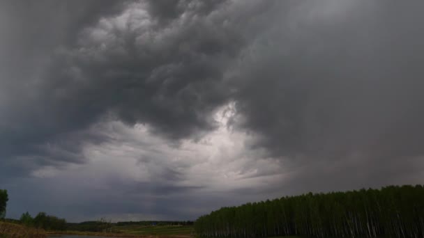 Donkere Storm Wolken Bewegen Snel Bos Timelapse — Stockvideo