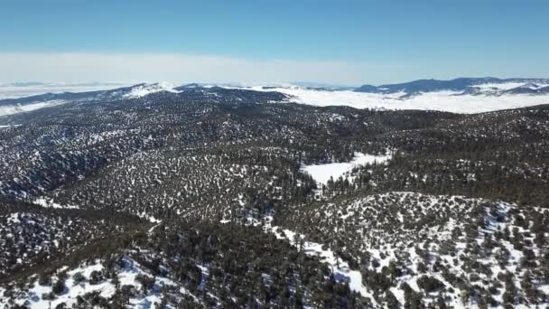 Fas Kış Aylarında Ormanla Kaplı Karla Kaplı Atlas Dağlarının Havadan — Stok video