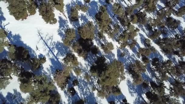 Vista Aérea Las Montañas Nevadas Del Atlas Cubiertas Bosque Marruecos — Vídeos de Stock