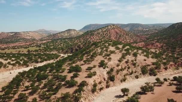Légi Kilátás Hegyek Argán Fák Természetes Élőhelyükön Marokkóban — Stock videók