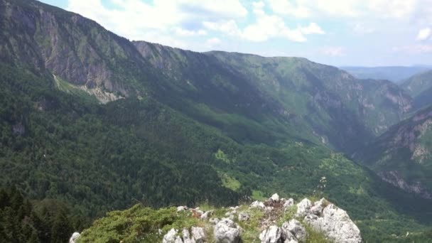 Panoráma Kilátás Magasból Hegyekre Festői Kanyon Durmitor Nemzeti Park Montenegró — Stock videók