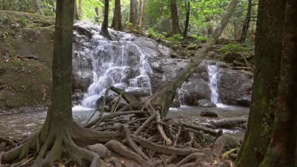 Nang Manora Waterval Provincie Phang Nga Thailand — Stockvideo