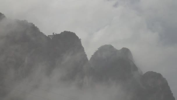 Lluvia Fuerte Bosque Tropical Asiático — Vídeos de Stock