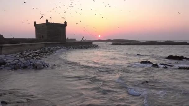 Essaouira Fortezza Silhouette Con Sfondo Cielo Tramonto Con Gabbiani Volanti — Video Stock