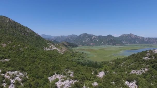 Vista Aérea Del Lago Skadar Montenegro Verano — Vídeos de Stock