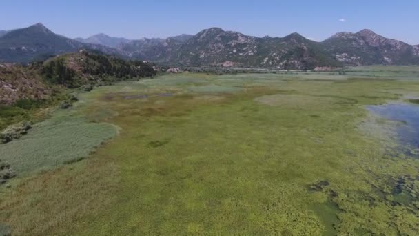 Vista Aérea Del Lago Skadar Montenegro Verano — Vídeos de Stock