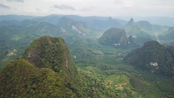 Luchtfoto Van Het Regenwoud Van Khao Sok National Park Thailand — Stockvideo