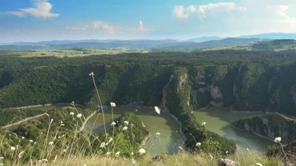 Meanders Rocky River Uvac Gorge Sunny Day Southwest Serbia — Stock Video