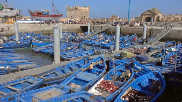 Kék Halászhajók Essaouira Kikötőjében Marokkóban — Stock videók