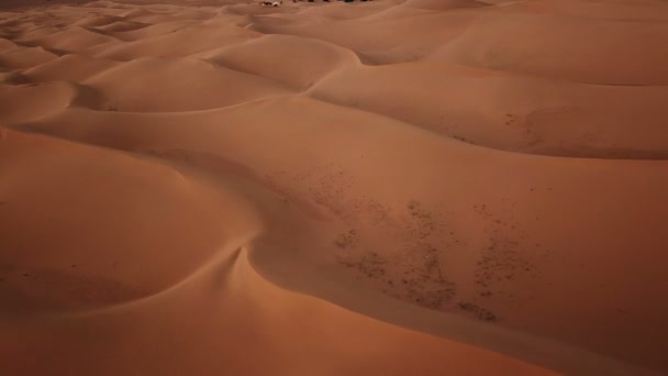 Vliegen Camping Sahara Woestijn Afrika — Stockvideo