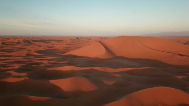 Flyger Över Sanddyner Saharaöknen Vid Soluppgången Afrika — Stockvideo