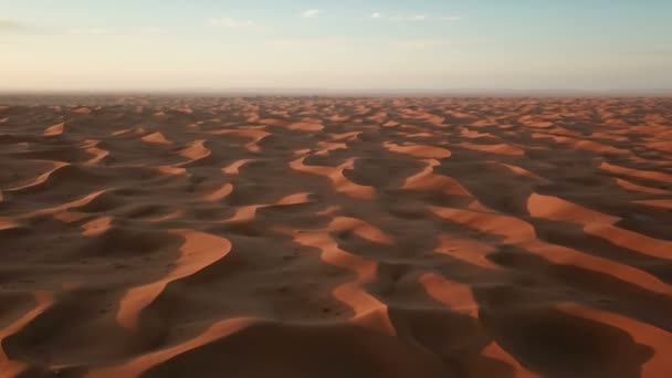 Flygfoto Över Sanddyner Saharaöknen Vid Soluppgången Afrika — Stockvideo