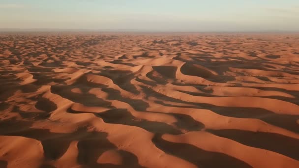 Flug Über Sanddünen Der Sahara Bei Sonnenaufgang Afrika — Stockvideo