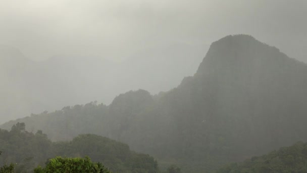 Pioggia Pesante Nella Foresta Tropicale Asiatica — Video Stock