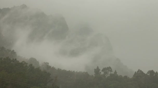 亚洲热带森林中的暴雨 — 图库视频影像