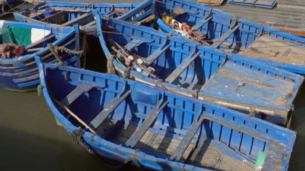 Blue Fishing Boats Port Essaouira Morocco — Stock Video