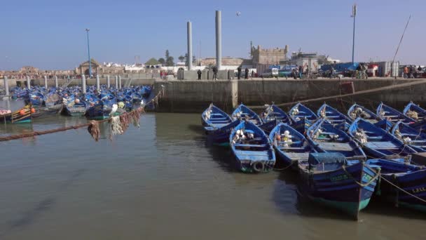 Blå Fiskebåtar Hamnen Essaouira Marocko — Stockvideo