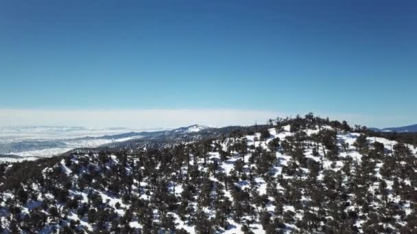 Letecký Pohled Zasněžené Pohoří Atlas Pokryté Zimě Lesy Maroku — Stock video