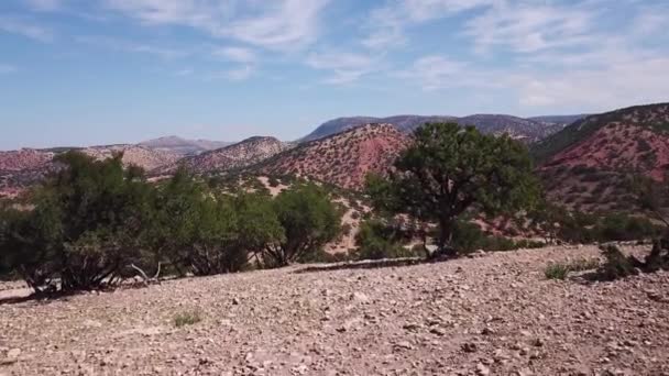 Uitzicht Vanuit Lucht Bergen Met Arganbomen Hun Natuurlijke Habitat Marokko — Stockvideo