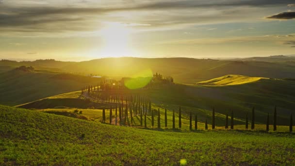 Tuscany landscape road cypresses hill sunset — Stock Video