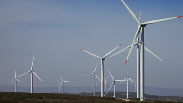 Viele Windmühlen oder Windräder in Rotation — Stockvideo