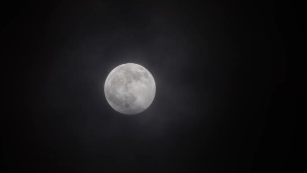 Luna piena in movimento tra le nuvole — Video Stock