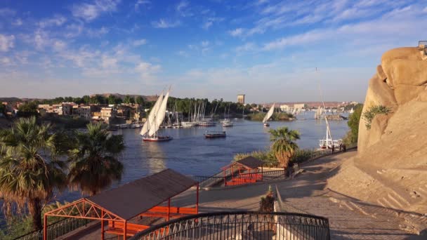 Felucca-Boote auf dem Nil in Assuan Ägypten — Stockvideo