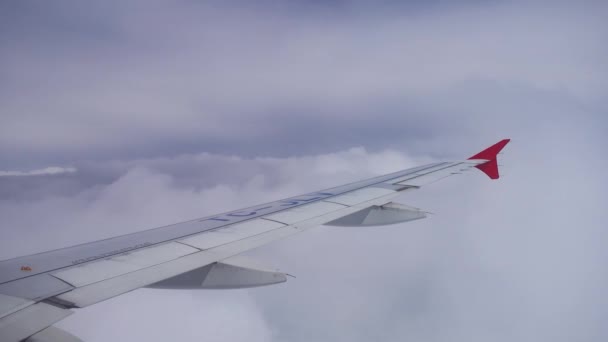 Глядя на высокие облака в небе от самолета — стоковое видео