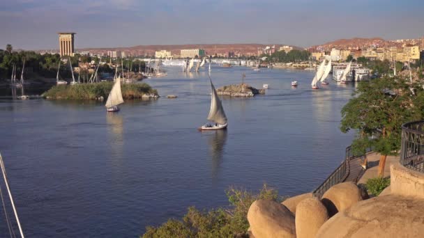 Łódki felucca na rzece Nilu w Asuanie Egipt — Wideo stockowe