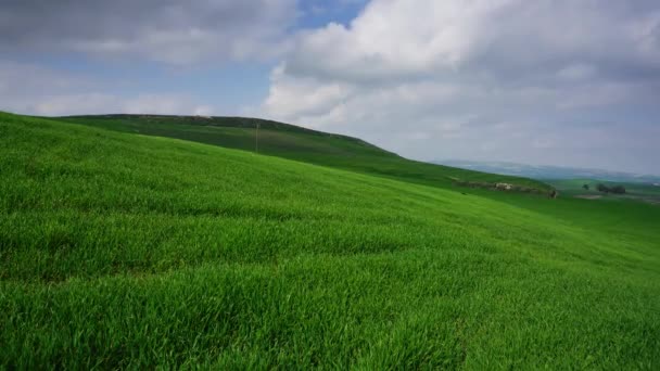Schöne Landschaft Mit Grünen Grashügeln Marokko Afrika Zeitraffer — Stockvideo