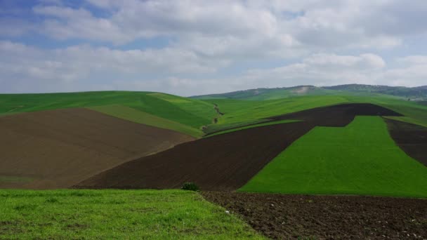 Schöne Landschaft Mit Landwirtschaftlichen Feldern Auf Hügeln Marokko Afrika Zeitraffer — Stockvideo