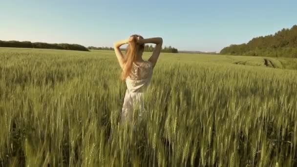 Krásná Dívka Zvrací Dlouhé Vlasy Poli Při Západu Slunce Zpomalený — Stock video