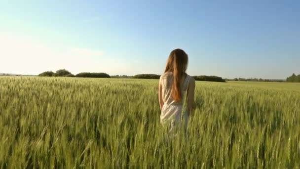 Vacker Flicka Går Ett Vetefält Vid Solnedgången Slow Motion — Stockvideo