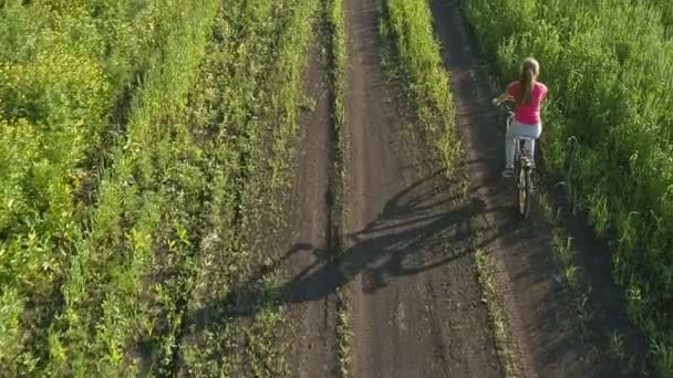 Menina Bonito Bicicleta Campo Verde Verão Tiro Drone — Vídeo de Stock