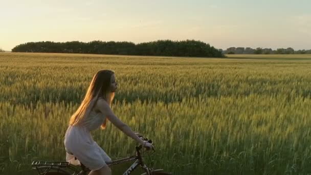 Linda Chica Joven Bicicleta Campo Verde Verano Tiro Con Drones — Vídeos de Stock