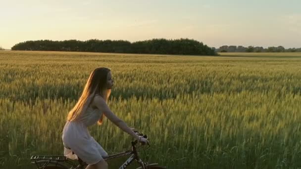 Schattig Jong Meisje Fiets Groen Veld Zomer Drone Schieten — Stockvideo