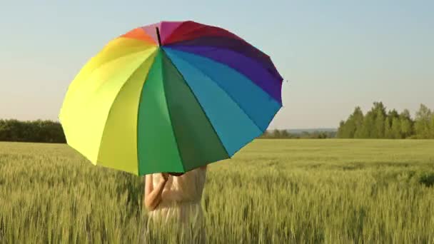 Menina Bonito Com Guarda Chuva Multicolorido Campo Trigo Pôr Sol — Vídeo de Stock