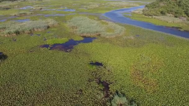 夏にモンテネグロのSkadar湖の空中ビュー — ストック動画